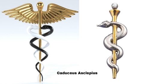 Caduceus Asclepius.jpg
