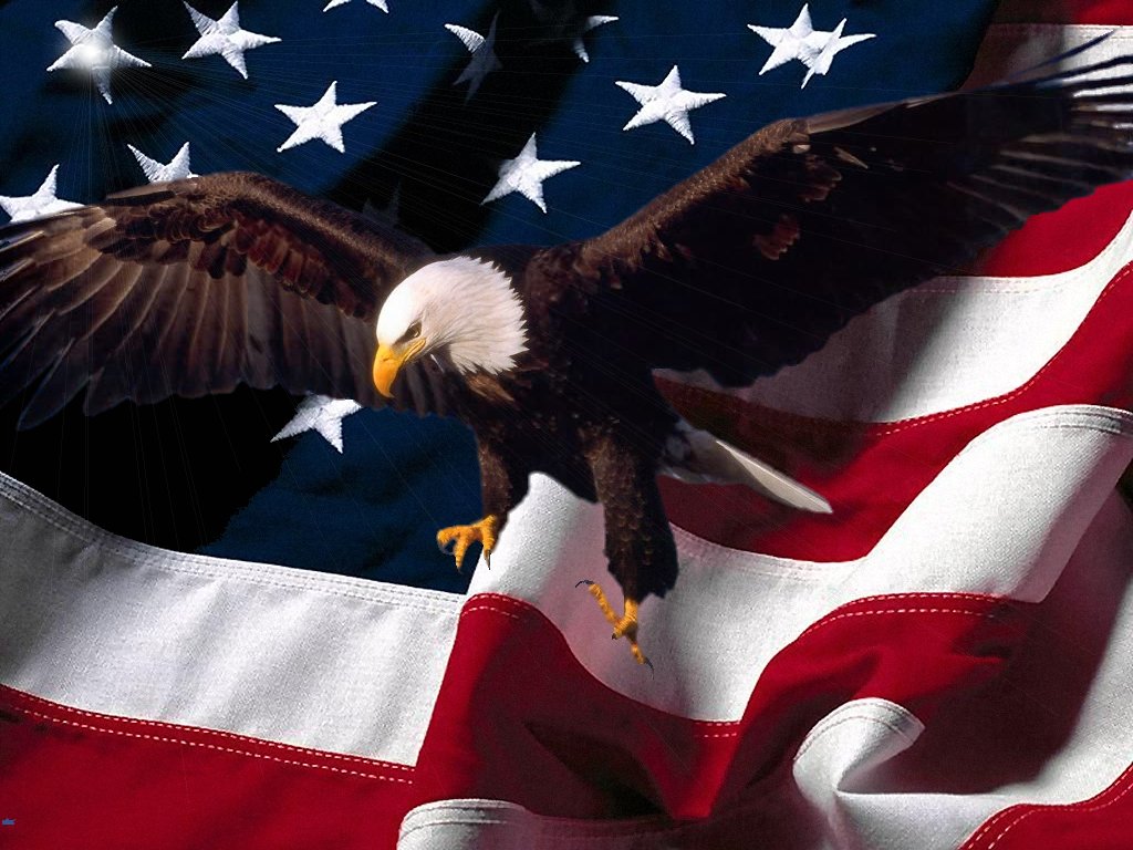 American Flag Eagle.jpg