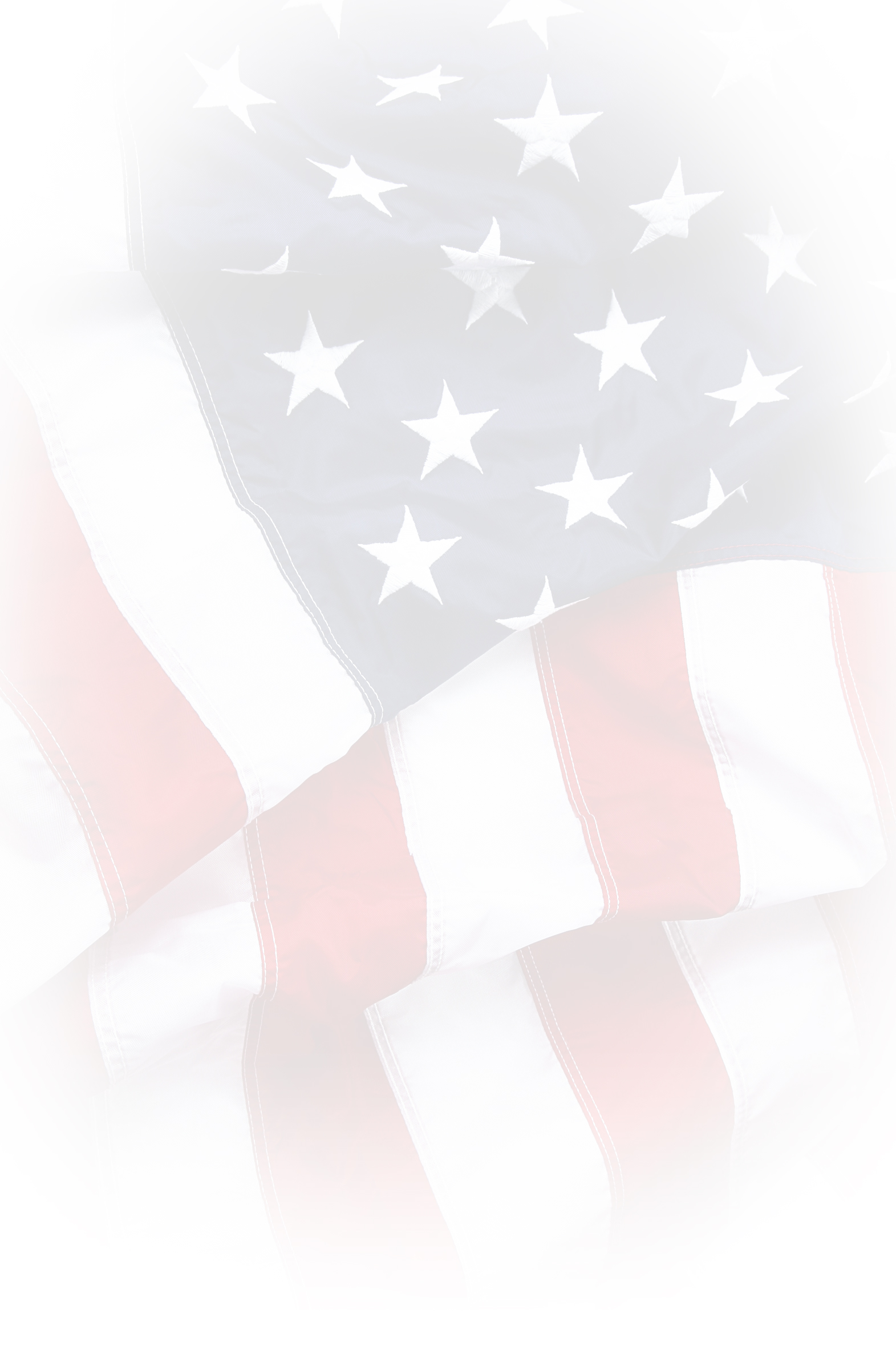 USFLAG BG2.jpg