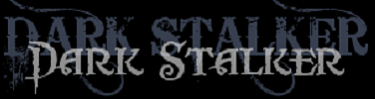 DSbanner.png