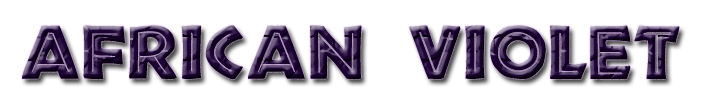 Africanviolet logo.png