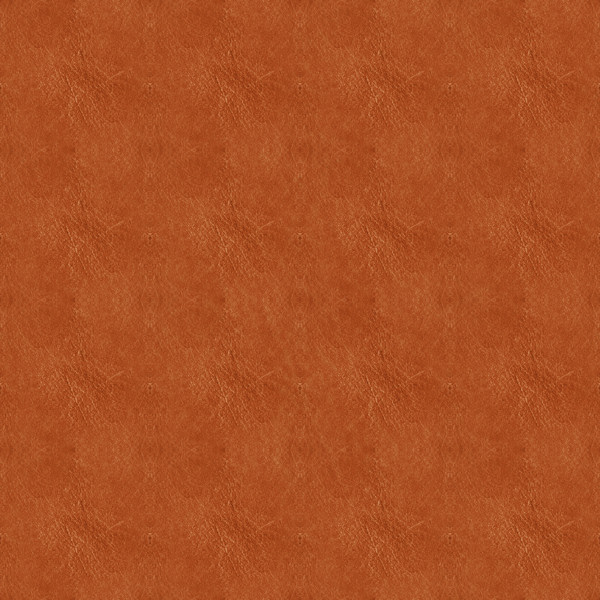 Liath TheFox Fur.jpg