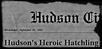 HUDSON'S HEROIC HATCHLING