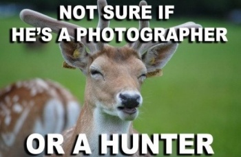 Deerhunter.jpg