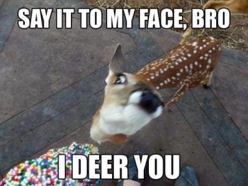 I-Deer-You.jpg