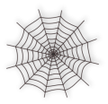 Spider-web-md.png